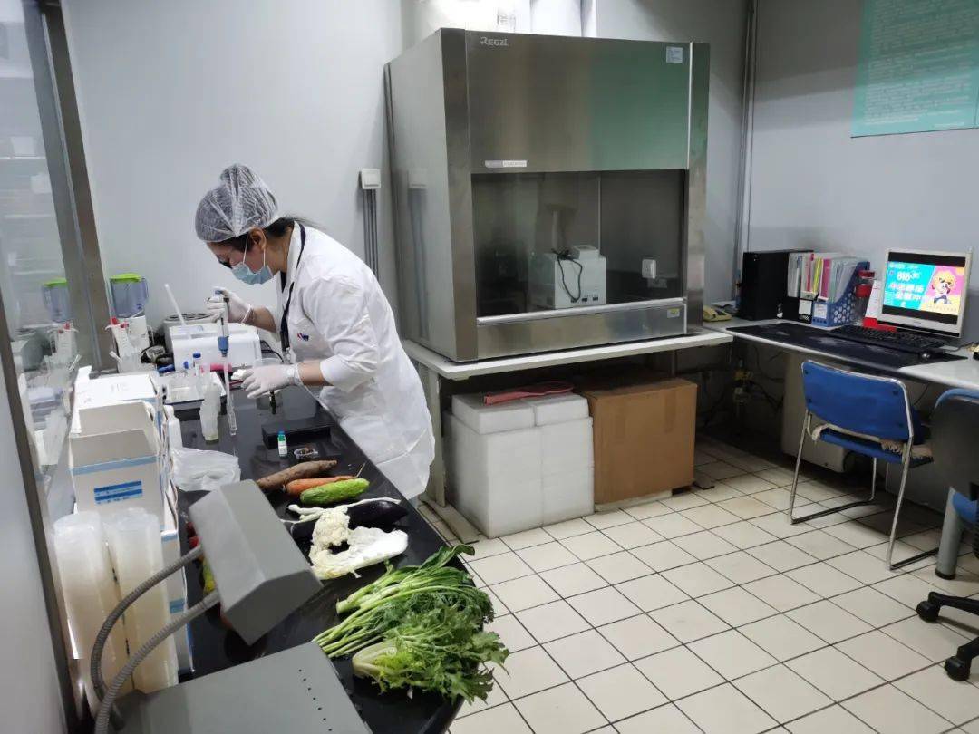 徽县食品检测实验室装修方案
